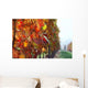 Autumn Vineyard Wall Decal