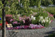 Federal Garden Show Munich Wall Decal