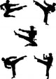 Karate Fighters Silhouettes Wall Decal