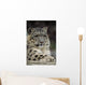 Snow Leopard Wall Decal