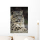 Snow Leopard Wall Decal