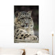 Snow Leopard Wall Decal