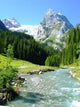 Wetterhorn Wall Decal