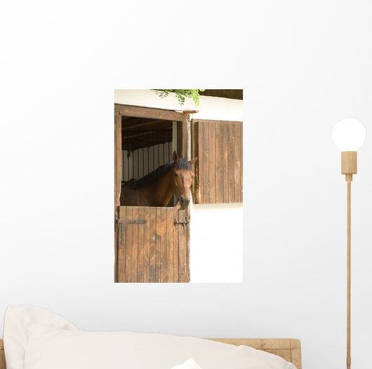 Horse Stable