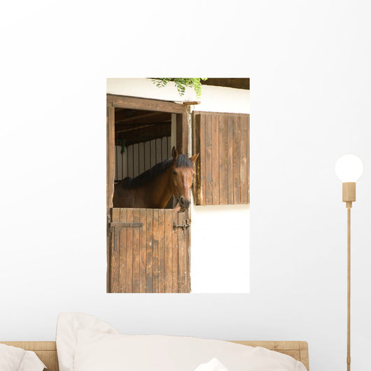 Horse Stable