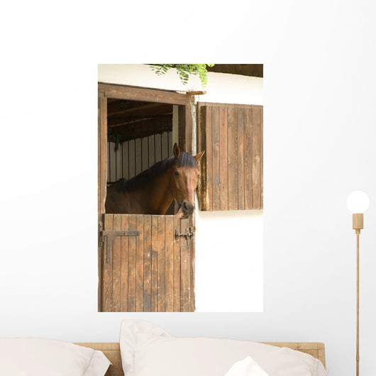 Horse Stable