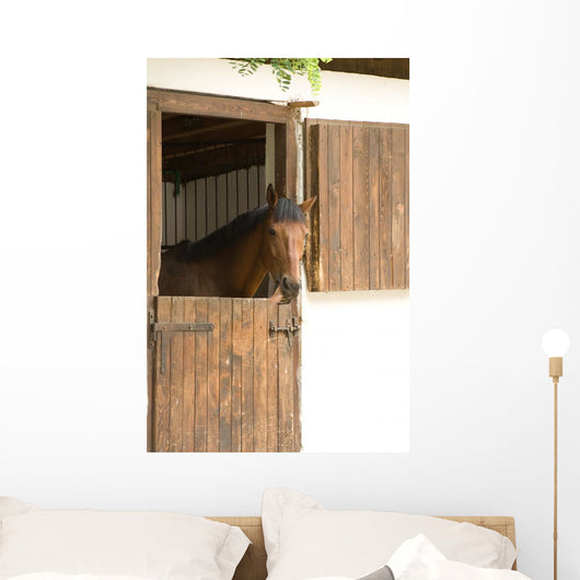 Horse Stable