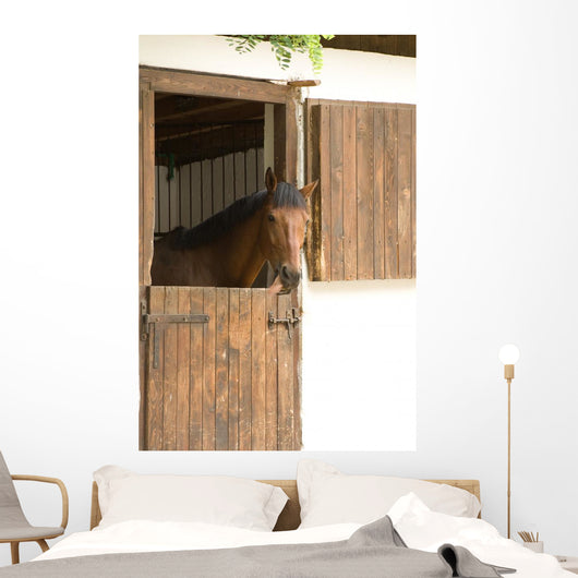 Horse Stable
