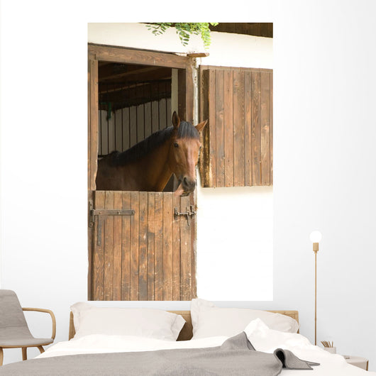 Horse Stable
