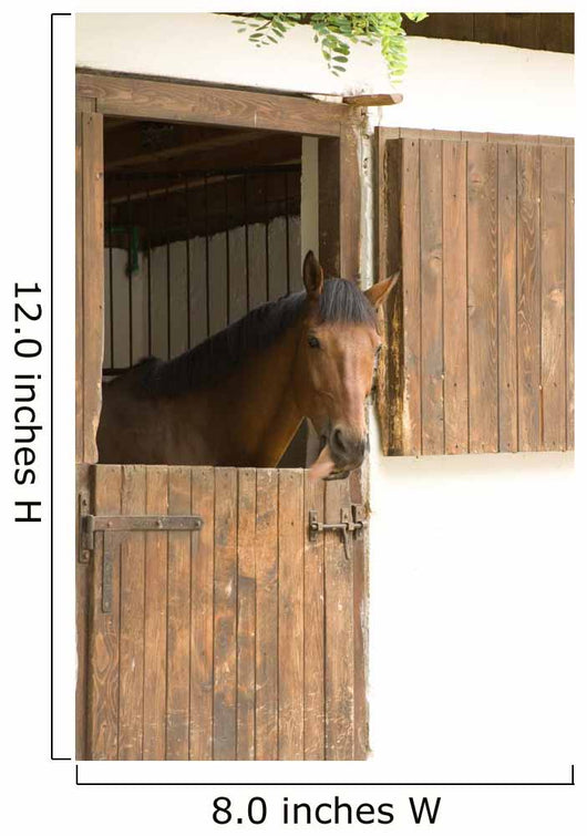 Horse Stable