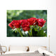 Red Roses Wall Decal