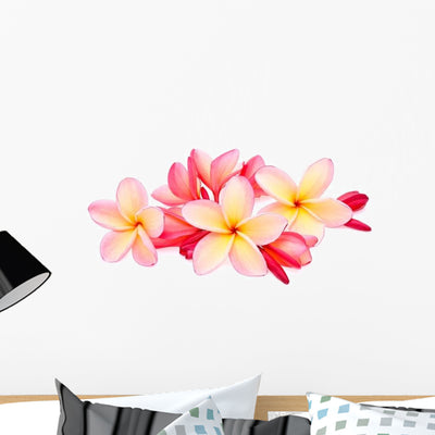 Frangipani Plumeria Tropical Flowers Wall Decal shown on a wall