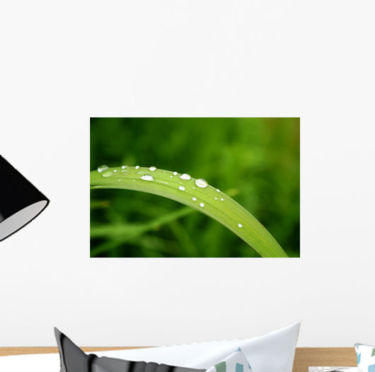 Slide Water Wall Decal