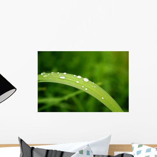 Slide Water Wall Decal