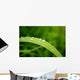 Slide Water Wall Decal