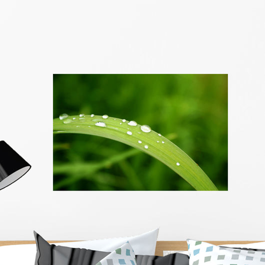Slide Water Wall Decal