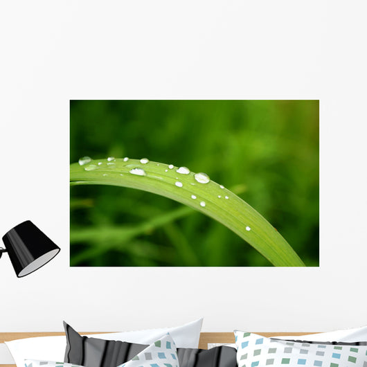 Slide Water Wall Decal