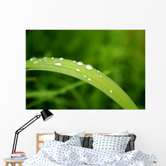 Slide Water Wall Decal