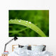 Slide Water Wall Decal