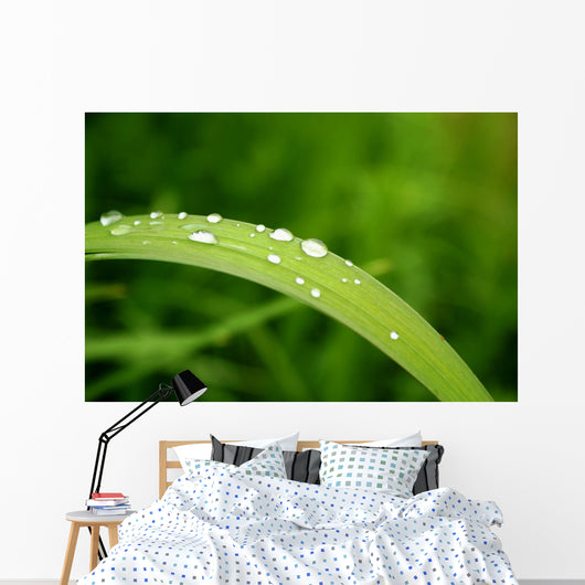 Slide Water Wall Decal