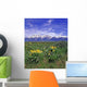 Spring Time Grand Tetons Wall Decal