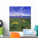 Spring Time Grand Tetons Wall Decal