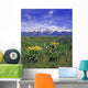 Spring Time Grand Tetons Wall Decal