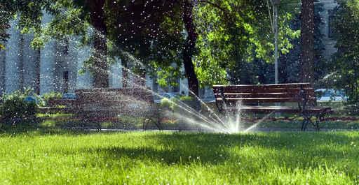 Summer Grass Wall Decal