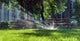 Summer Grass Wall Decal
