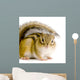 Chipmunk or Squirrel Eurasia