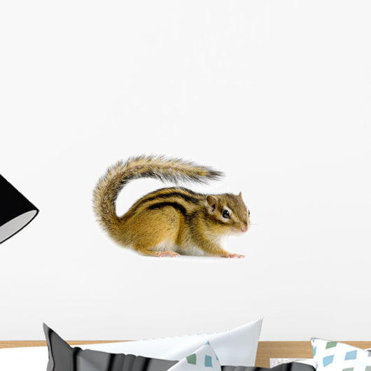 Ecureuil Chipmunk Ou Cureuils Wall Decal