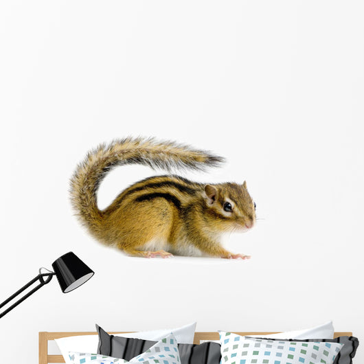 Ecureuil Chipmunk Ou Cureuils Wall Decal