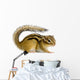 Ecureuil Chipmunk Ou Cureuils Wall Decal