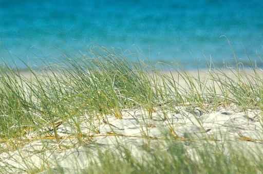 Beach Amp Sand Wall Decal