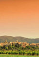 Lumiere Sur Lourmarin Wall Decal