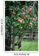Fruity Apple Tree Wall Decal