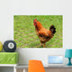 Rooster Wall Decal