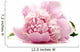 Pink Peony Wall Decal