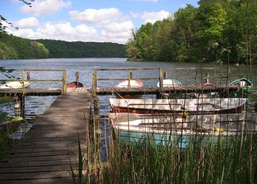 Jetty Ukleisee Wall Decal