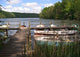 Jetty Ukleisee Wall Decal