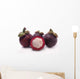 Mangosteen Wall Decal