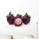 Mangosteen Wall Decal