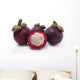 Mangosteen Wall Decal