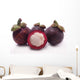 Mangosteen Wall Decal