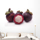 Mangosteen Wall Decal