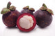 Mangosteen Wall Decal