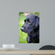 Black Labrador Retriever Wall Decal