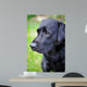 Black Labrador Retriever Wall Decal