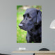 Black Labrador Retriever Wall Decal