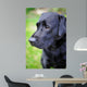 Black Labrador Retriever Wall Decal
